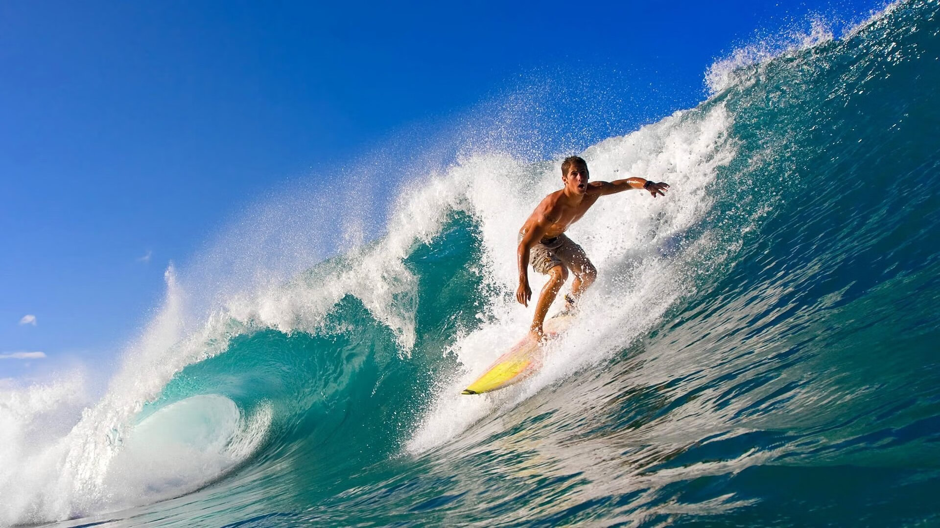 世界排名争夺战之夜，伊布，攻防转换的艺术核心